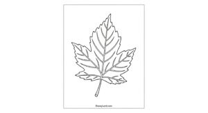 Free Printable Thanksgiving Coloring Pages for Kids adult thanksgiving color pages 7
