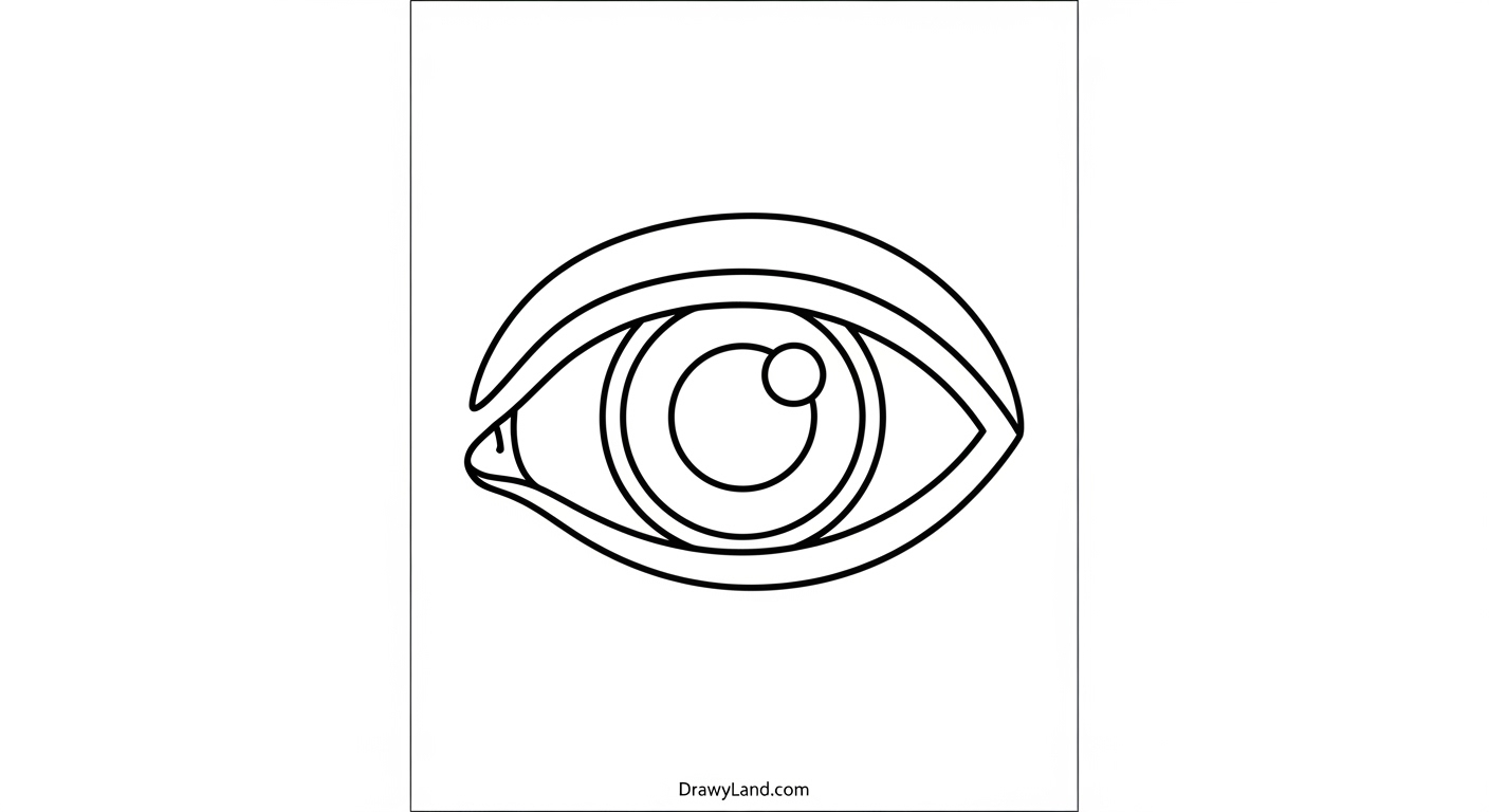 Free Printable Anatomy Coloring Pages for Little Learners A printable coloring page of the heart and lungs anatomy