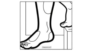 Free Printable Anatomy Coloring Pages for Little Learners coloring pages anatomy 7