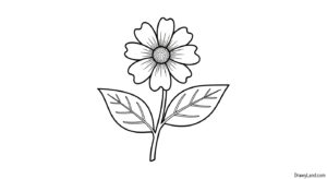 Free Printable Flower Coloring Pages for Kids floral coloring pages for adults 7