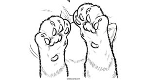Adorable & Free Printable Coloring Pages of Cats free coloring pages of cats 7
