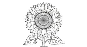 Free Printable Flower Coloring Pages for Kids free flower coloring pages printable 2