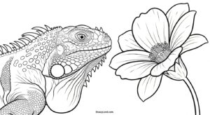 Free Printable Iguana Coloring Pages for Kids iguana coloring page 7