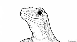 Free Printable Komodo Dragon Coloring Page komodo dragon coloring page 7