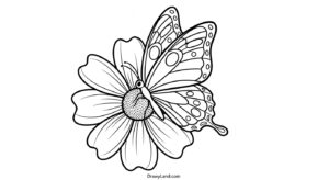 Free Printable Pictures to Color of Flowers and Butterflies pictures to color of flowers and butterflies 14