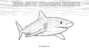 Free Printable Shark Coloring Book for Little Artists shark coloring book 7