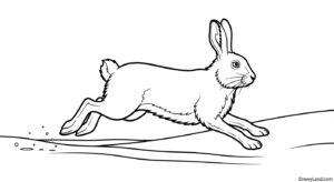 Free Printable Winter Animal Coloring Pages for Kids winter animal coloring pages 7